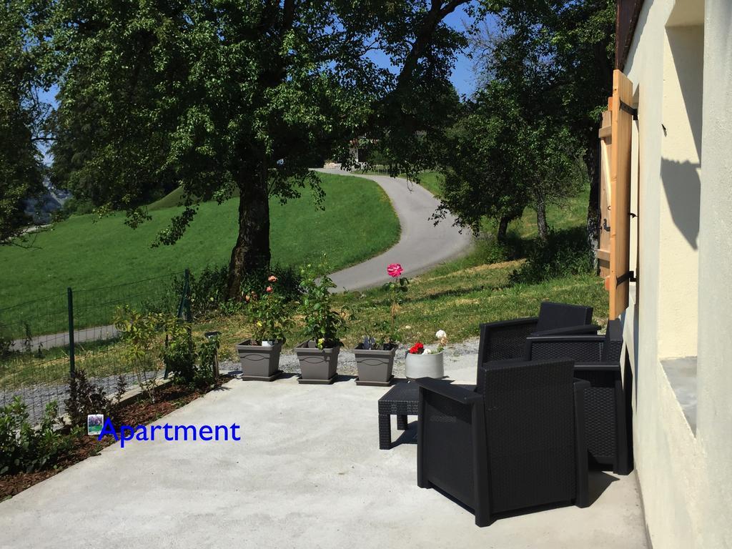Le Green Chalet Villard-sur-Boege Dış mekan fotoğraf