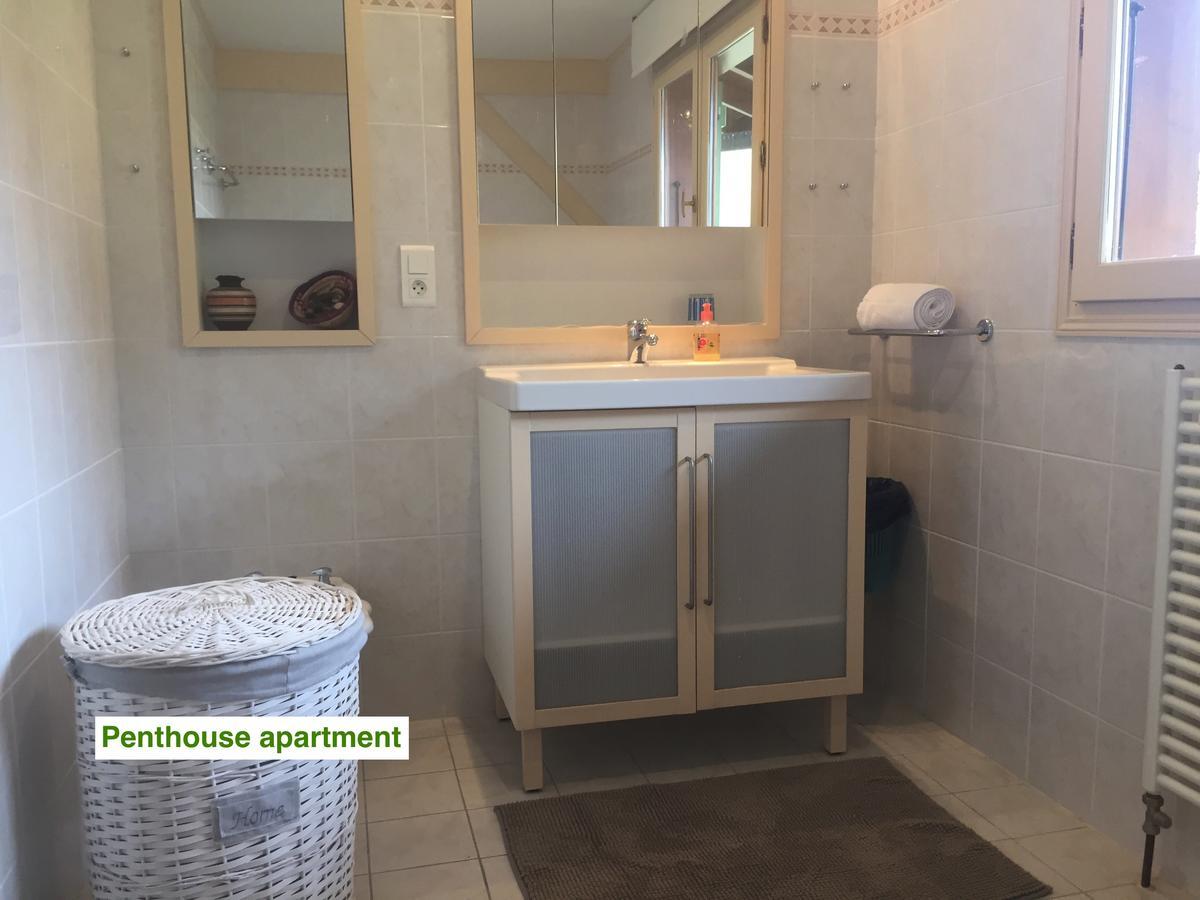 Le Green Chalet Villard-sur-Boege Dış mekan fotoğraf