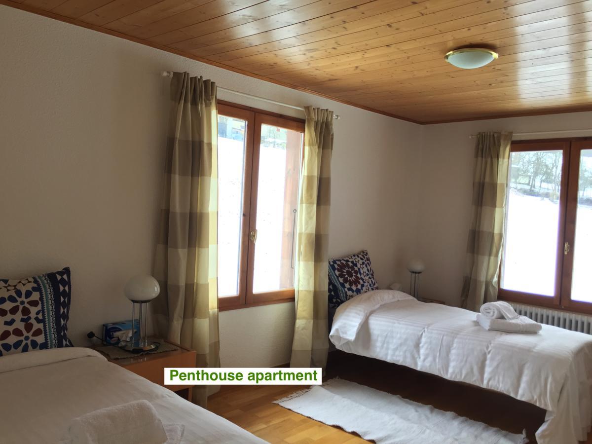 Le Green Chalet Villard-sur-Boege Dış mekan fotoğraf