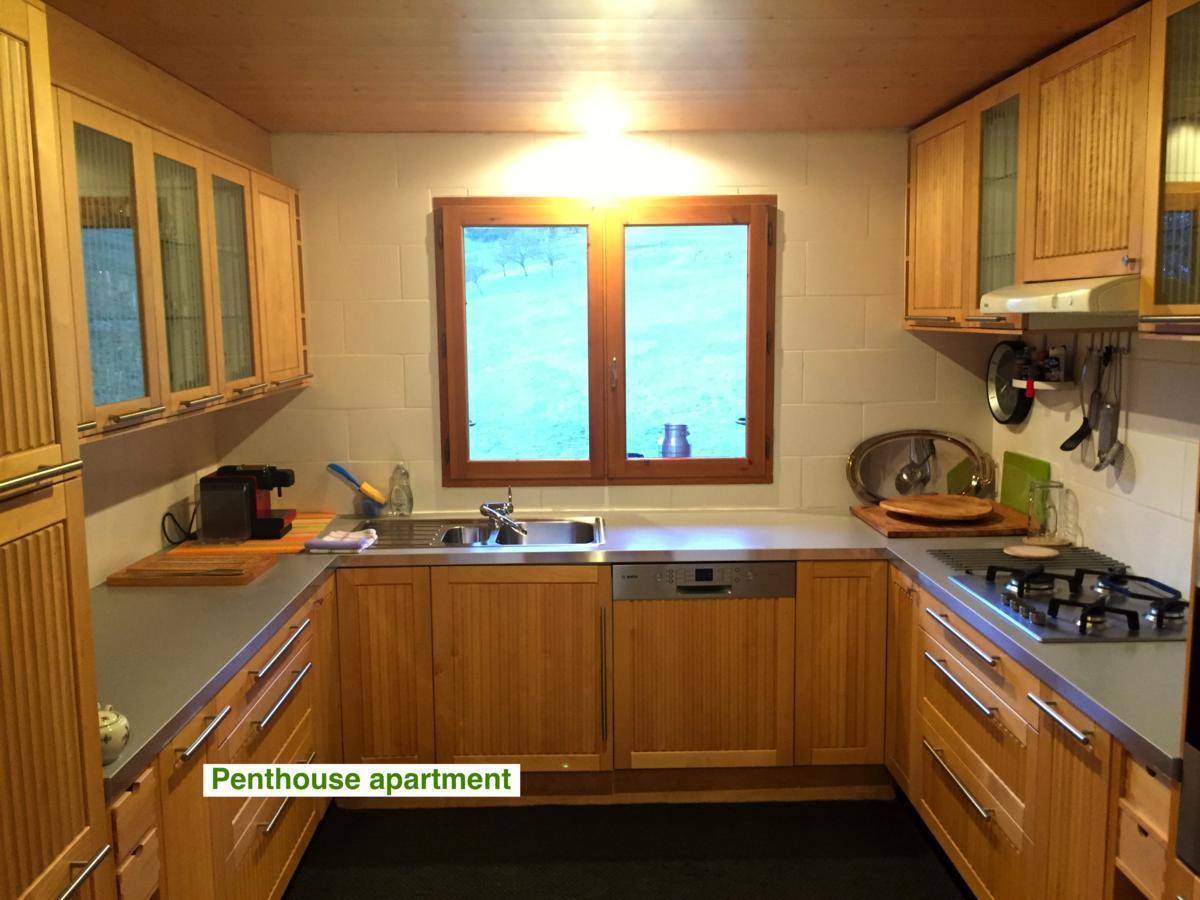 Le Green Chalet Villard-sur-Boege Dış mekan fotoğraf