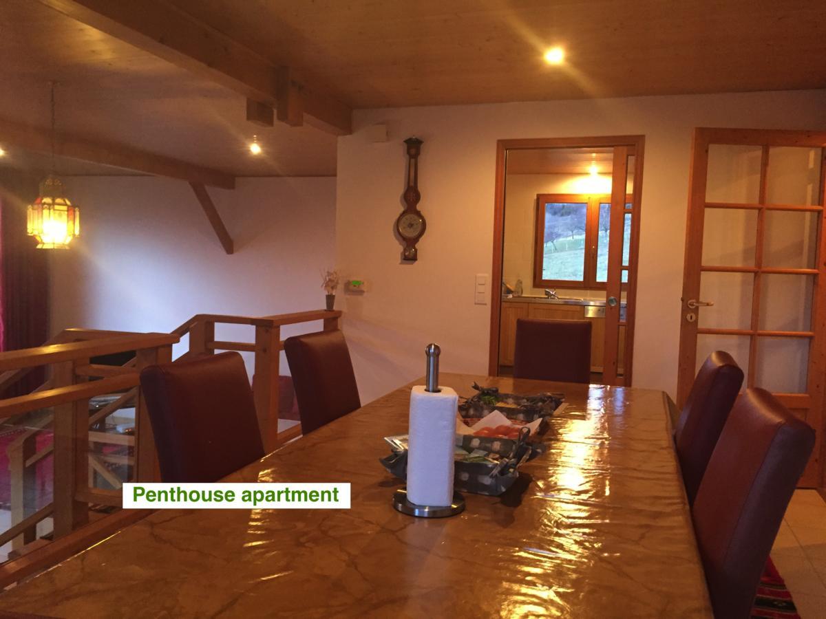 Le Green Chalet Villard-sur-Boege Dış mekan fotoğraf