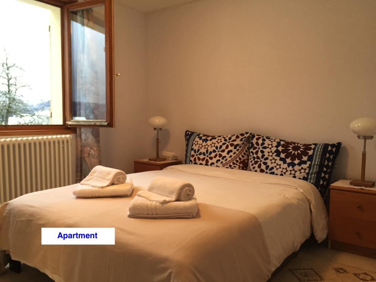 Le Green Chalet Villard-sur-Boege Dış mekan fotoğraf