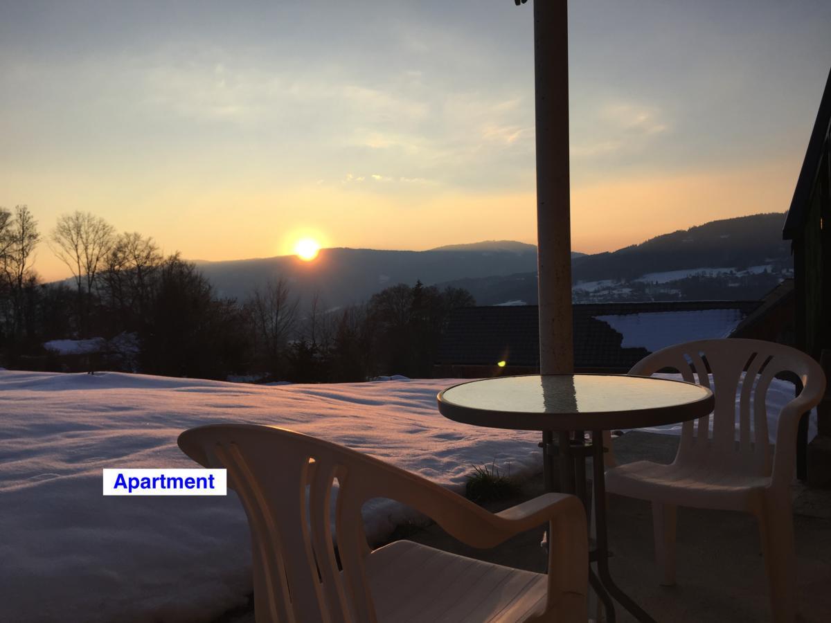Le Green Chalet Villard-sur-Boege Dış mekan fotoğraf