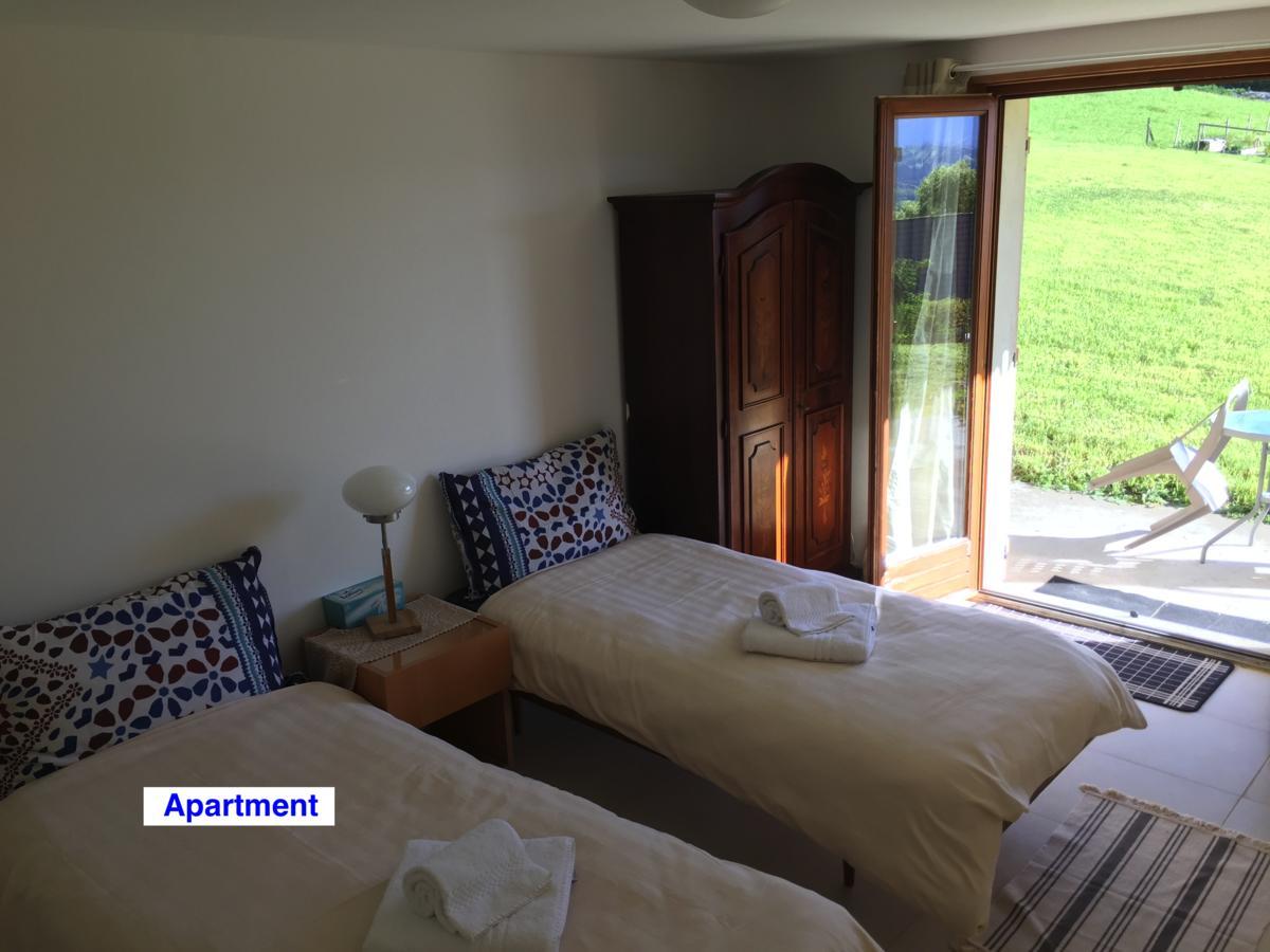 Le Green Chalet Villard-sur-Boege Dış mekan fotoğraf
